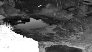 Still 1 from this detection