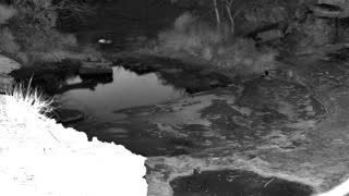 Still 2 from this detection