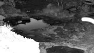 Still 3 from this detection