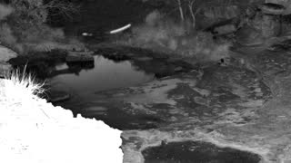 Still 1 from this detection