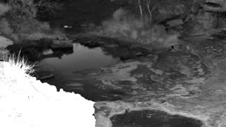 Still 2 from this detection