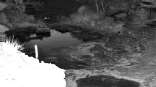 Still 3 from this detection
