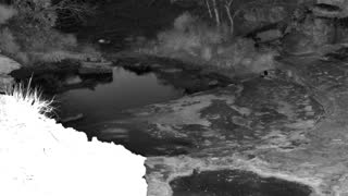 Still 1 from this detection