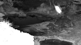 Still 2 from this detection