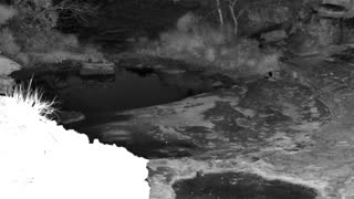 Still 3 from this detection