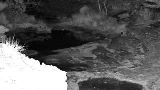 Still 2 from this detection
