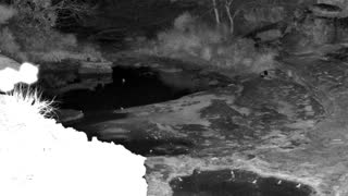 Still 2 from this detection