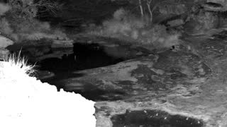 Still 2 from this detection