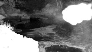 Still 2 from this detection