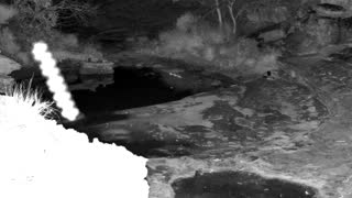 Still 1 from this detection