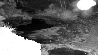 Still 2 from this detection