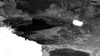 Still 1 from this detection