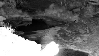 Still 2 from this detection