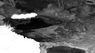 Still 2 from this detection