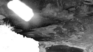 Still 1 from this detection