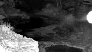 Still 3 from this detection