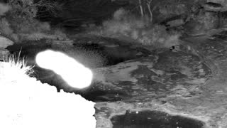 Still 2 from this detection