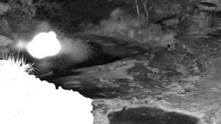 Still 3 from this detection