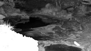 Still 1 from this detection