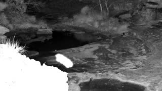 Still 2 from this detection
