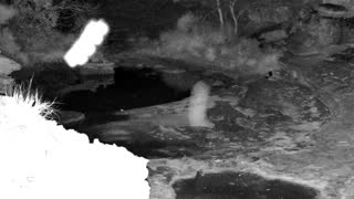 Still 3 from this detection