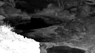 Still 1 from this detection