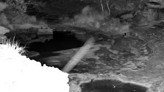 Still 1 from this detection