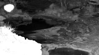 Still 1 from this detection
