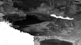Still 1 from this detection