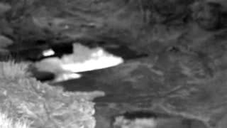 Still 2 from this detection