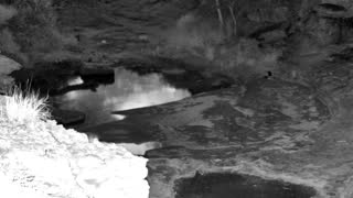 Still 2 from this detection