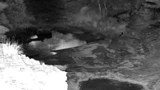 Still 2 from this detection