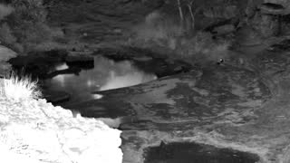 Still 1 from this detection