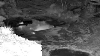 Still 3 from this detection