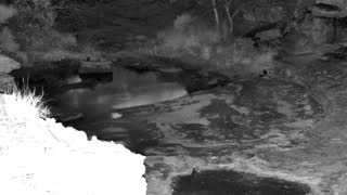 Still 1 from this detection