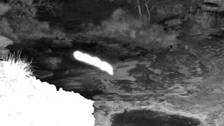 Still 2 from this detection
