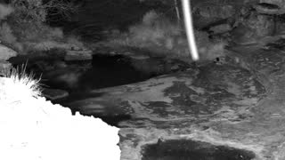 Still 1 from this detection