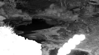 Still 2 from this detection