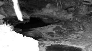 Still 1 from this detection