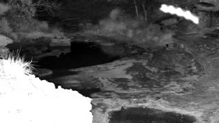 Still 1 from this detection