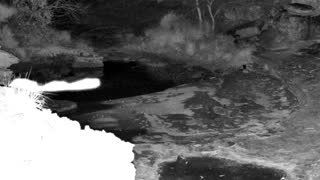 Still 1 from this detection
