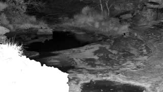 Still 3 from this detection