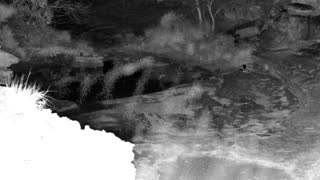 Still 1 from this detection