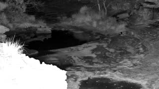 Still 2 from this detection
