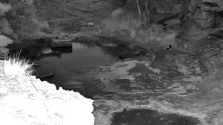 Still 1 from this detection