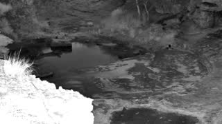 Still 2 from this detection
