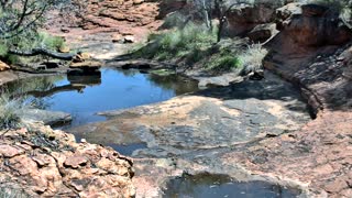 Still 2 from this detection