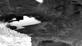 Still 1 from this detection