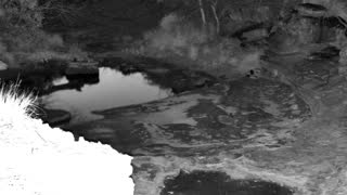 Still 2 from this detection