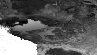 Still 1 from this detection